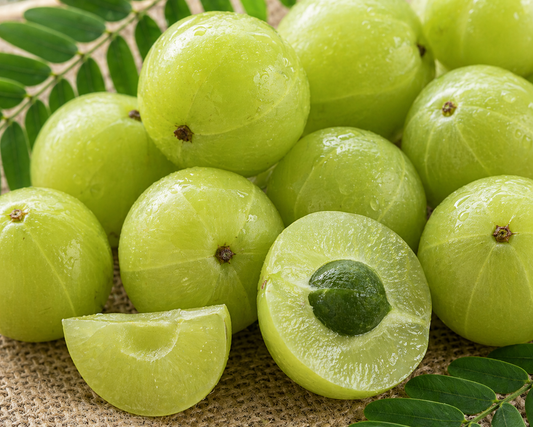 Amla (Phyllanthus emblica) – from Bhubaneswar, Odisha