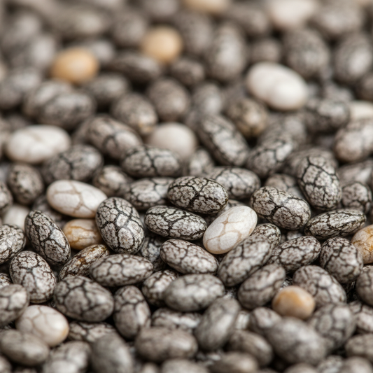 Chia Seeds Close-Up