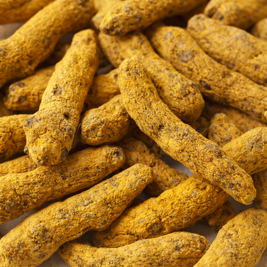 Close-up of dried kandhamal (haldi) tumeric roots with a white background