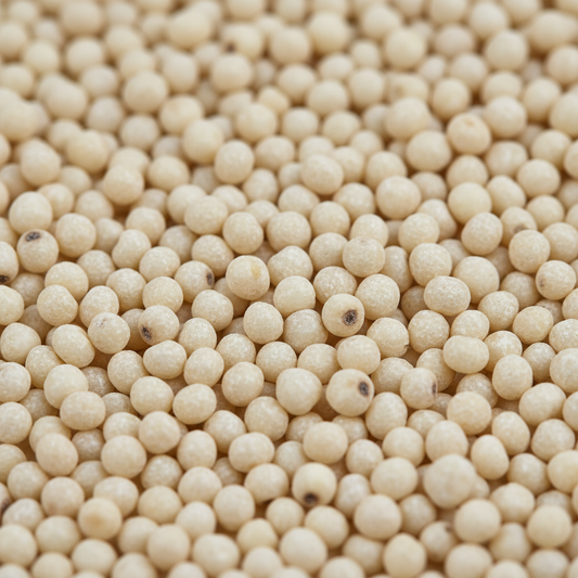 Kodo Millet Raw Ingredient Close-up