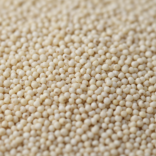 Little Millet Raw Ingredient Close-up
