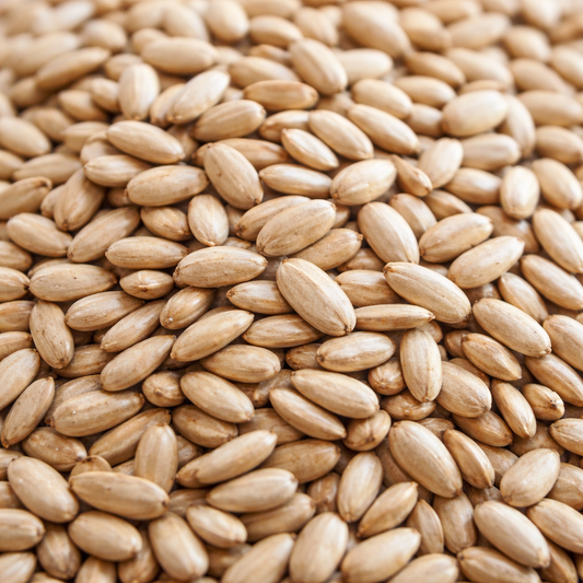 Close-up of a pile of light brown seeds