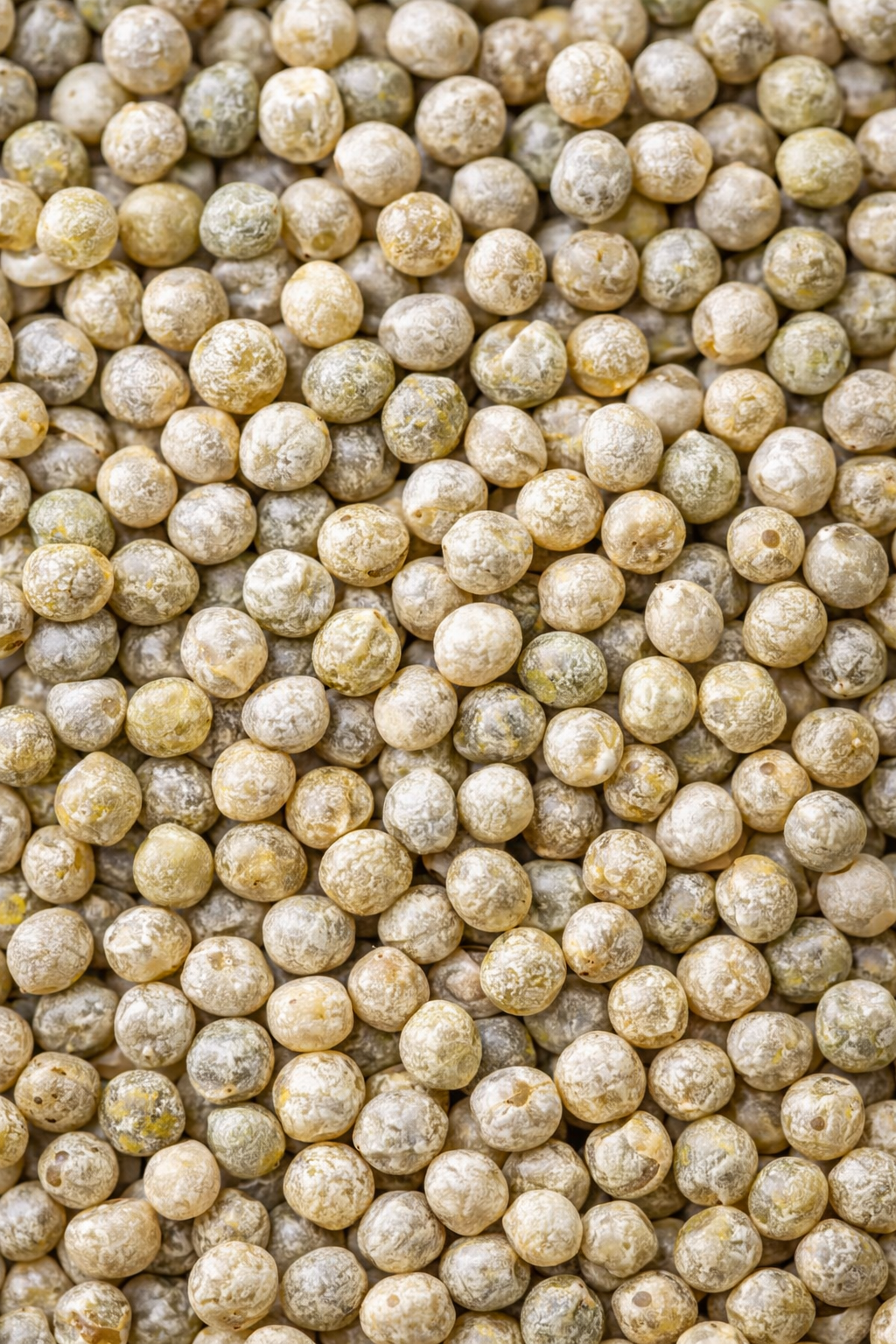 Close-up of beige spherical objects