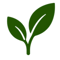 Green icon of a leaf on a white background