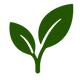 Green icon of a leaf on a white background