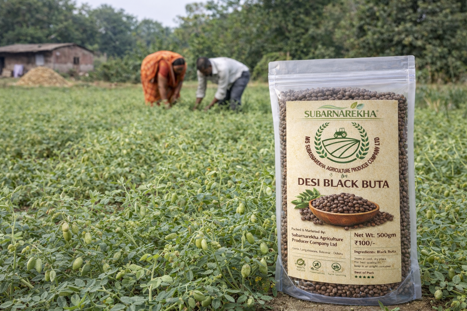 Package of Subarnarekha Desi Black Buta in a field with farmers in the background