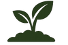 Leaf icon