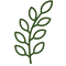 Green leafy branch icon on a white background