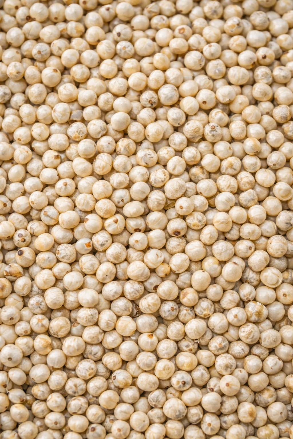 Close-up of white quinoa seeds