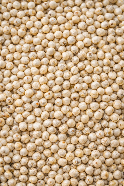Close-up of white quinoa seeds
