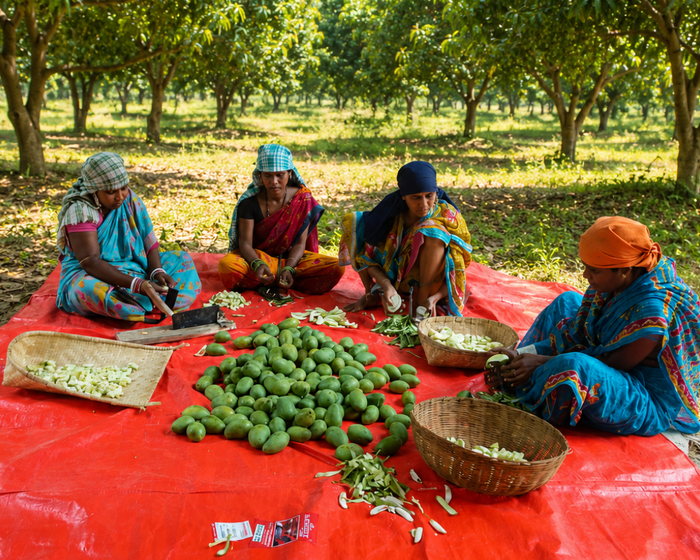 Tribal Women Producer Group