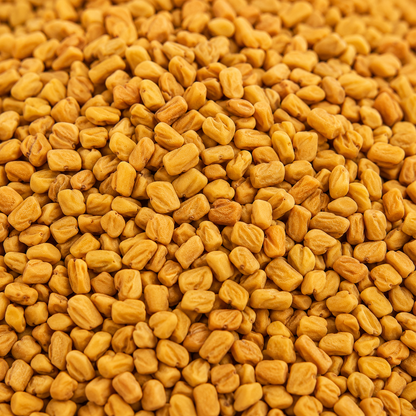 Close-up of yellow fenugreek seeds