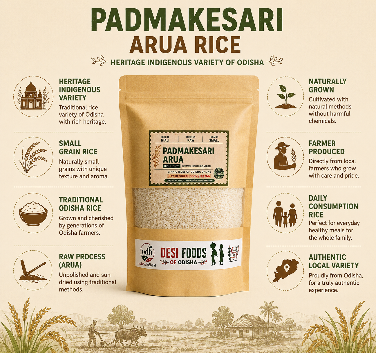 Padma Kesari Rice – Traditional Aromatic Rice from cuttack, Odisha