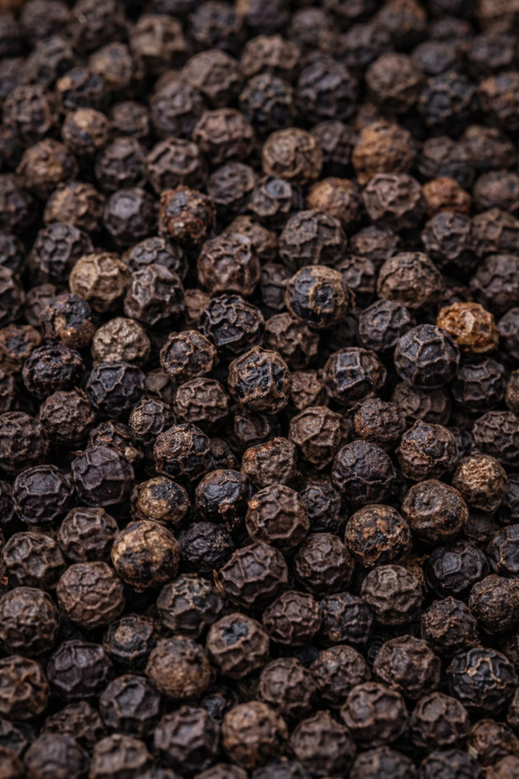 Close-up of black peppercorns
