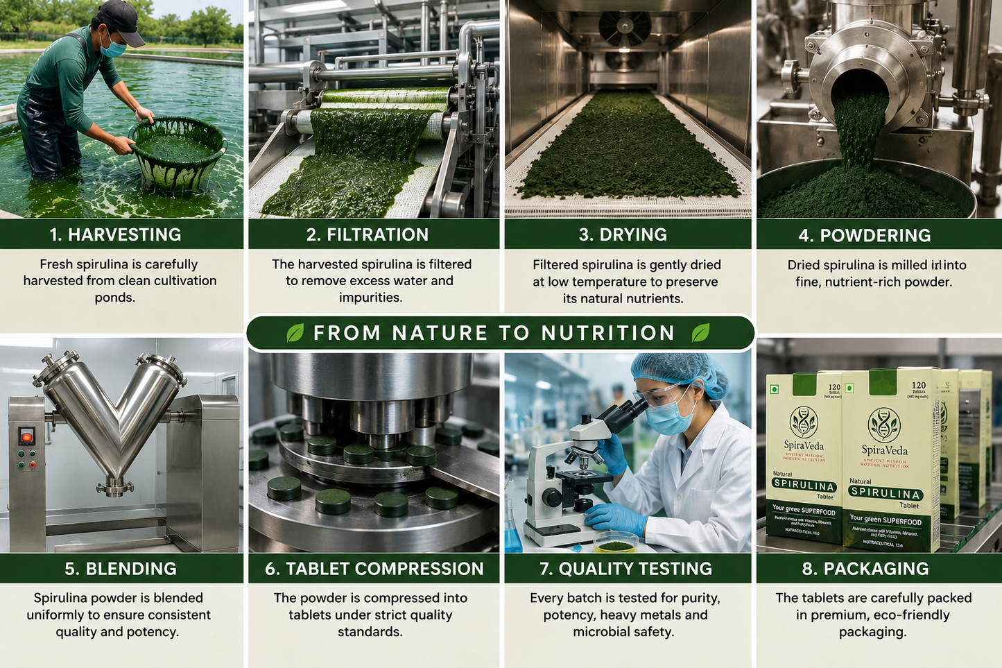 Natural Spirulina Powder, Capsules and Tablet from Odisha Super Foods