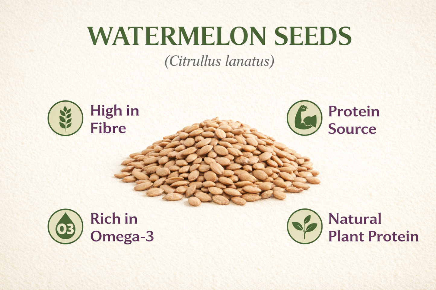 Watermelon Seeds from Bhubaneswar, Odisha