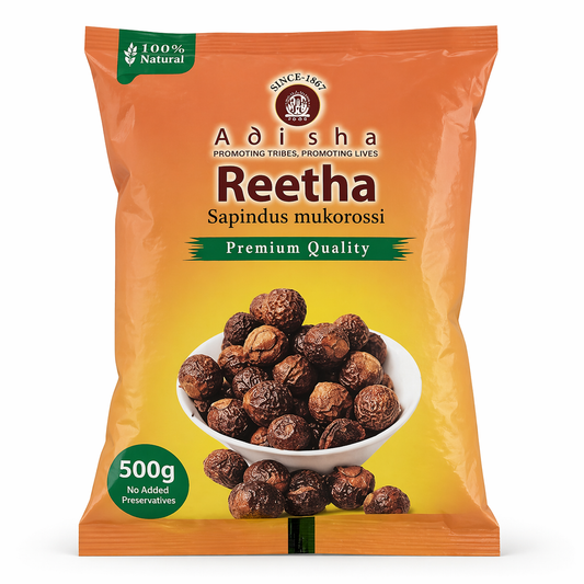 Reetha (Sapindus Mukorossi) – from Bhubaneswar, Odisha