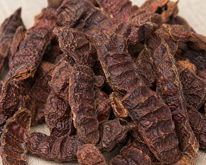 Shikakai (Acacia concinna) | Premium Quality - from Bhubaneswar, Odisha