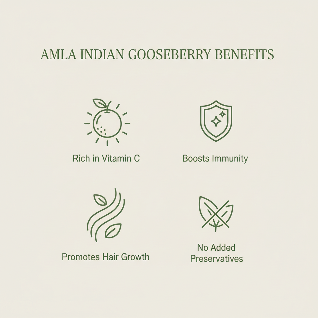 Amla Benefits Infographic
