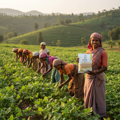 Bhaja Moong Dal Farmers Group