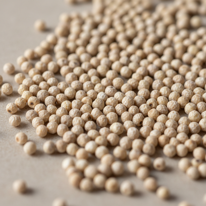 Browntop Millet Raw Ingredient Close-up