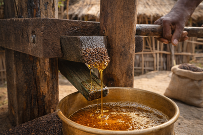 Mustered Oil In Process