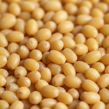 Foxtail Millet Raw Ingredient Close-up