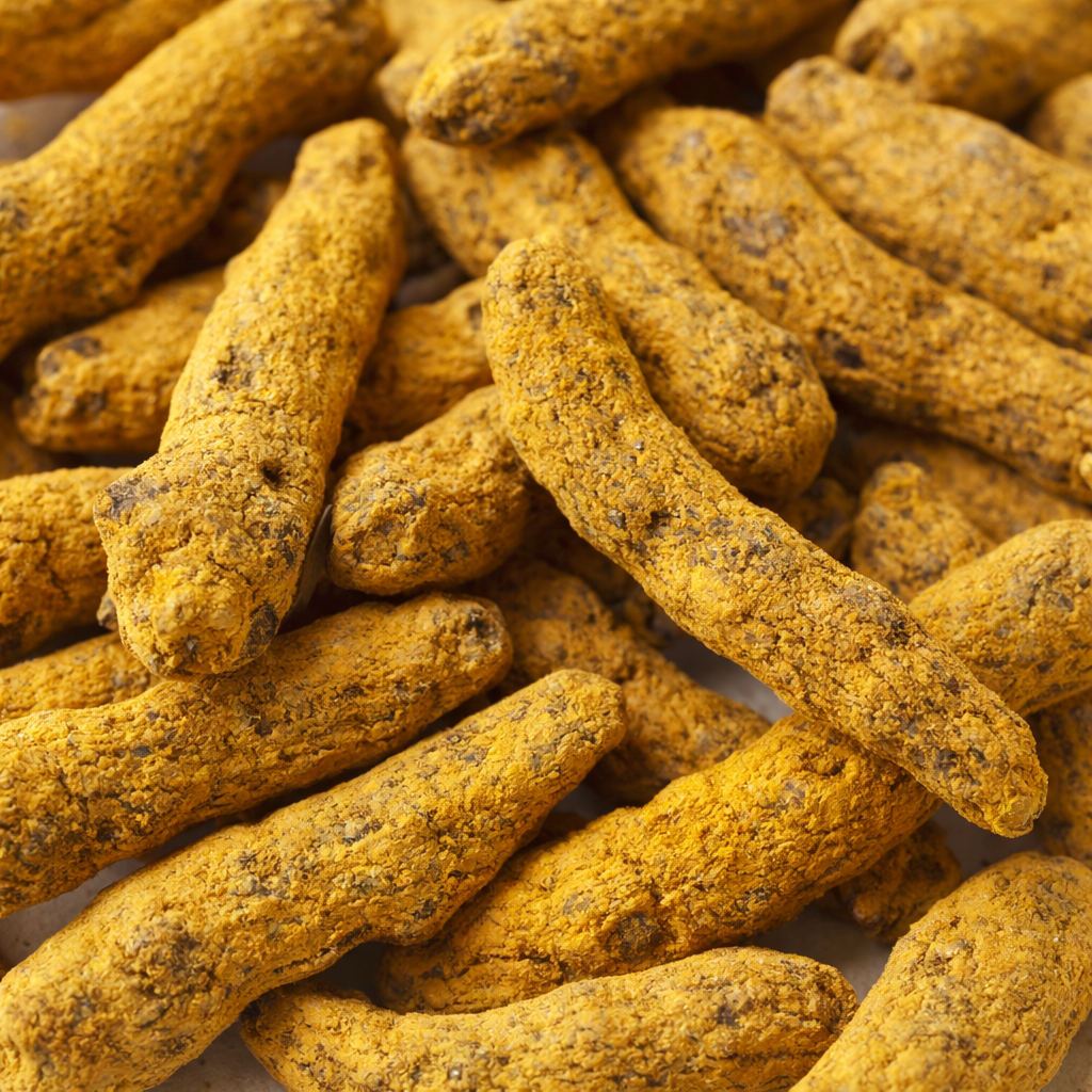 Close-up of dried kandhamal (haldi) tumeric roots with a white background