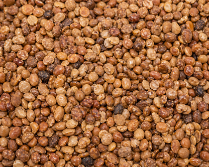 Bhaja Kolatha Dal – From Kandhamal, Odisha