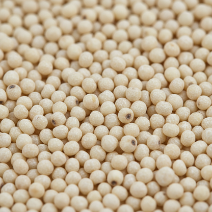 Kodo Millet Raw Ingredient Close-up