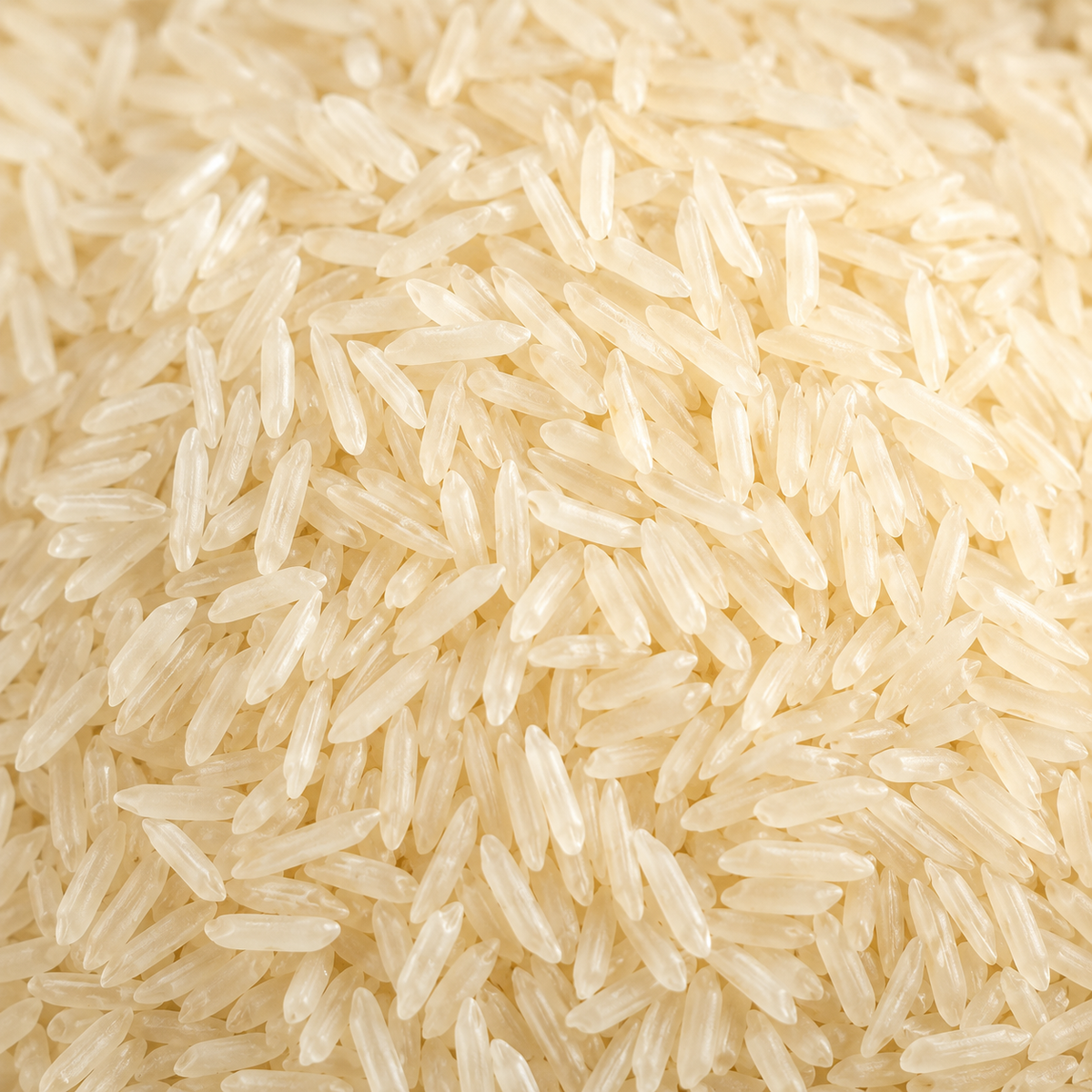 Close-up of uncooked white rice grains