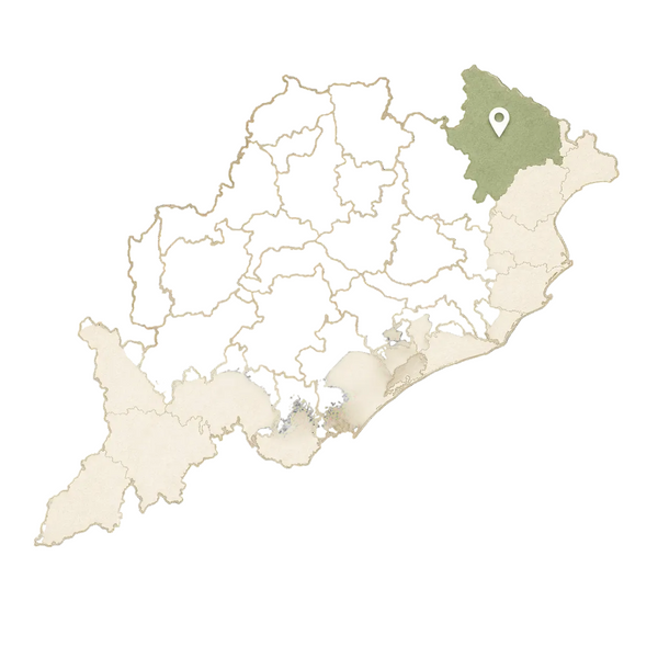 Map highlighting a region in Spain with a green color and a white location pin.