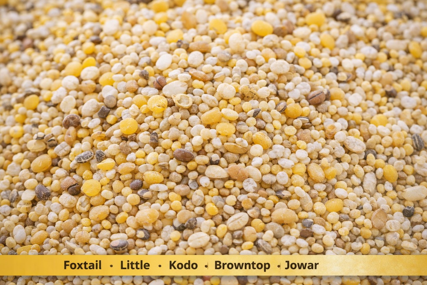 Close-up of a mix of yellow, brown, and white seeds with labels below.