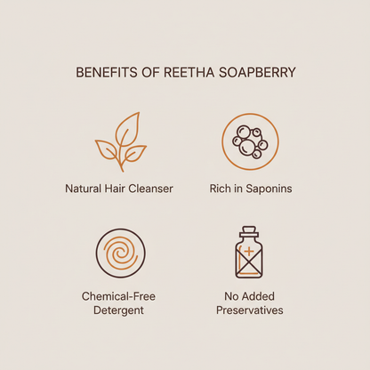 Reetha Benefits Infographic