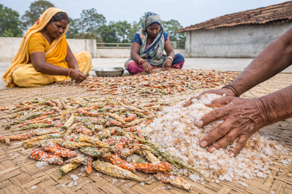 સૂકું ખારું મરચું - ગંજમ, ઓડિશા