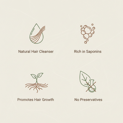 Shikakai Benefits Infographic